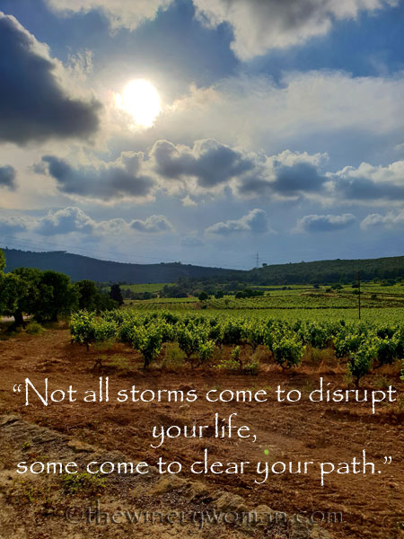 Not-all-storms_6.7.18_TWW