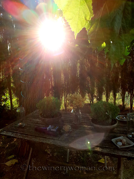 Sant_Joan10_6.23.18_TWW