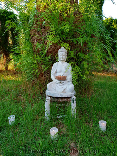 Sant_Joan4_6.23.18_TWW