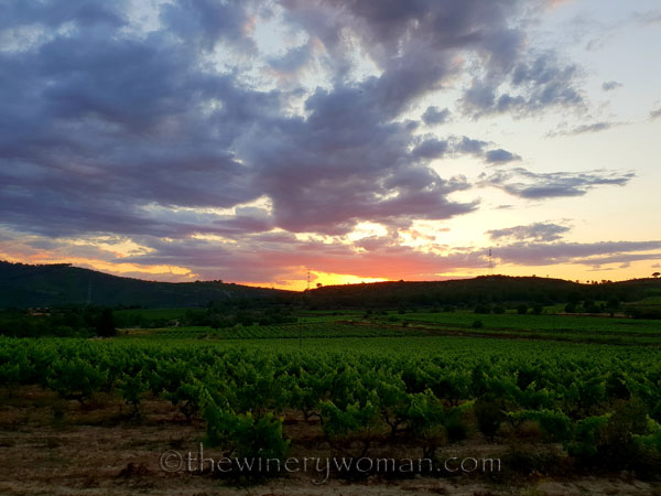 Sunset_glow2_6.13.18_TWW