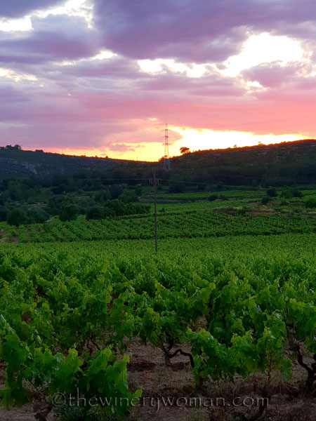 Sunset_glow_6.13.18_TWW