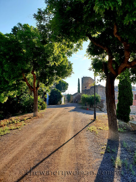 Vineyard8_6.29.18_TWW