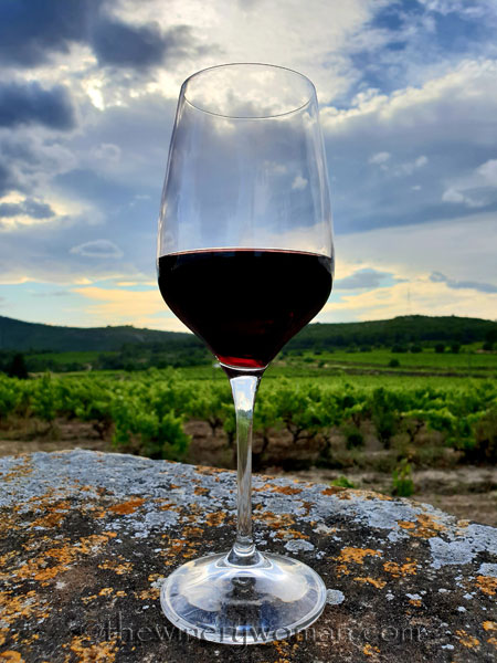 Wine_in_Vineyard2_6.12.18_TWW