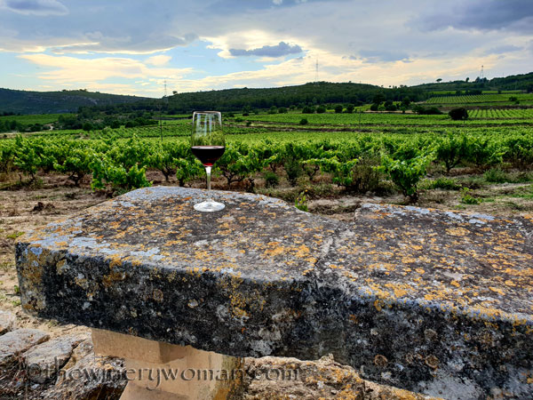 Wine_in_Vineyard3_6.12.18_TWW