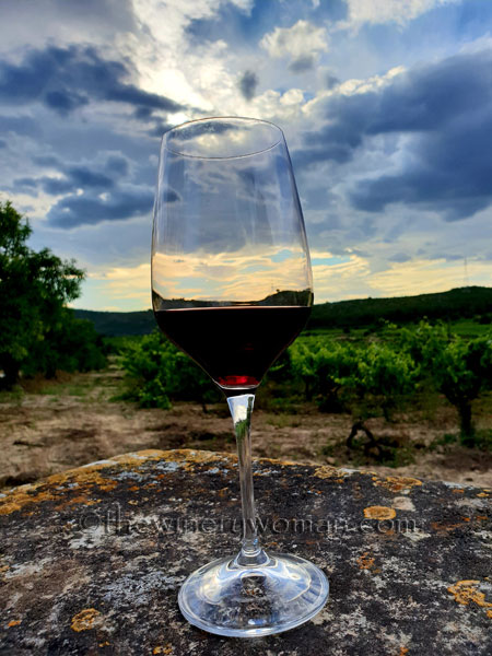 Wine_in_Vineyard9_6.12.18_TWW