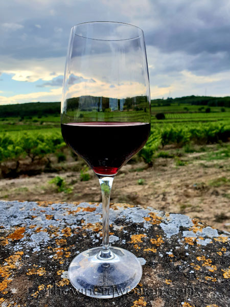 Wine_in_Vineyard_6.12.18_TWW