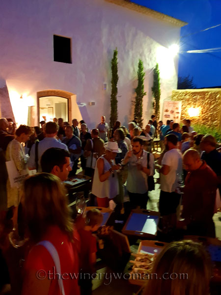 Concert_in_the_vineyard19_7.14.18_TWW