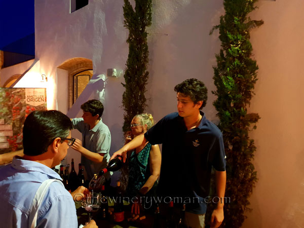 Concert_in_the_vineyard21_7.14.18_TWW