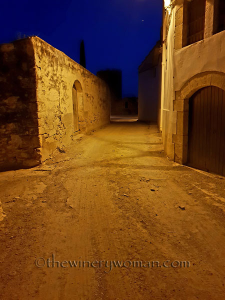 Concert_in_the_vineyard23_7.14.18_TWW