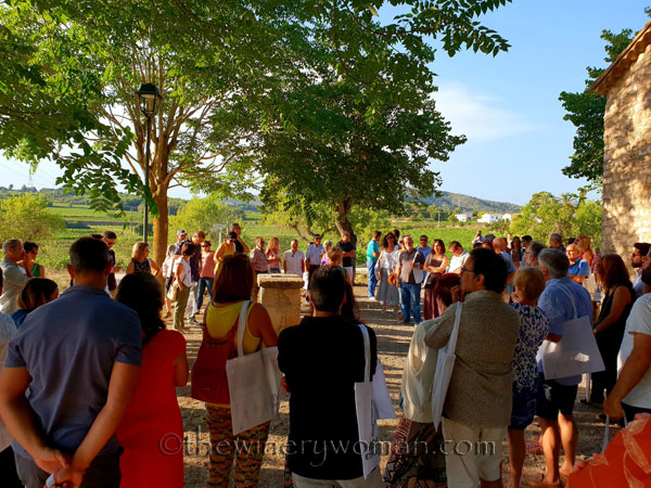 Concert_in_the_vineyard2_7.14.18_TWW