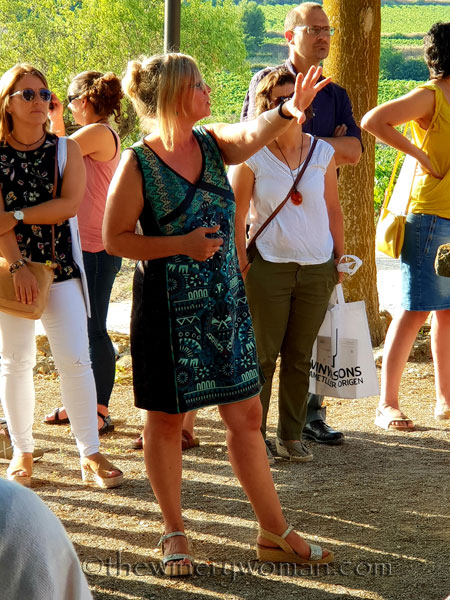 Concert_in_the_vineyard4_7.14.18_TWW