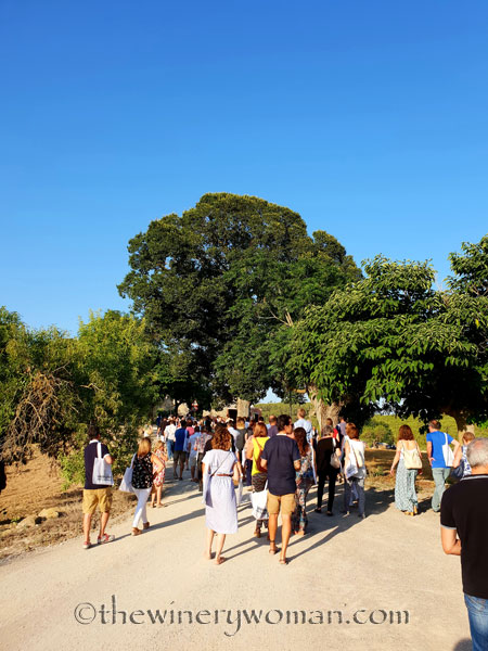 Concert_in_the_vineyard6_7.14.18_TWW