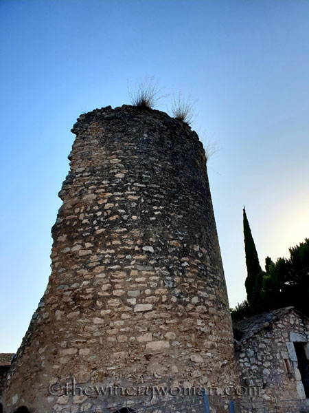 Concert_in_the_vineyard8_7.14.18_TWW