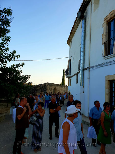 Concert_in_the_vineyard9_7.14.18_TWW