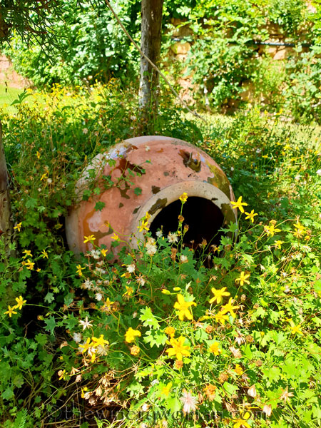 Mas_Teixidor38_7.7.18_TWW