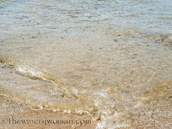 Sausalito-Beach3_7.27.18_TWW