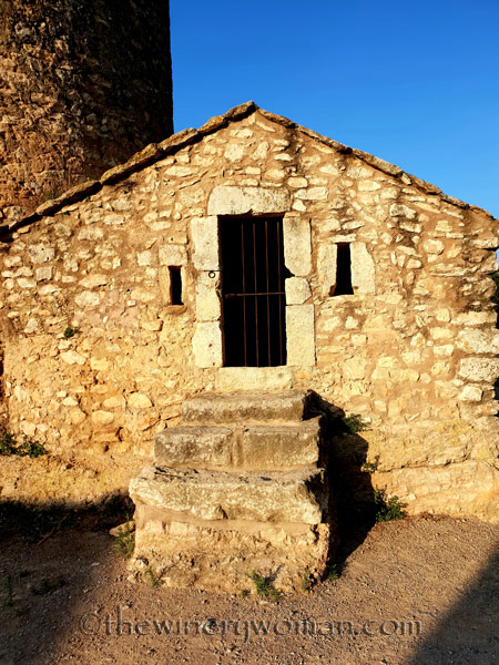 Vineyard2_7.21.18_TWW