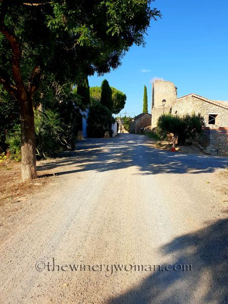 Vineyard5_7.19.18_TWW