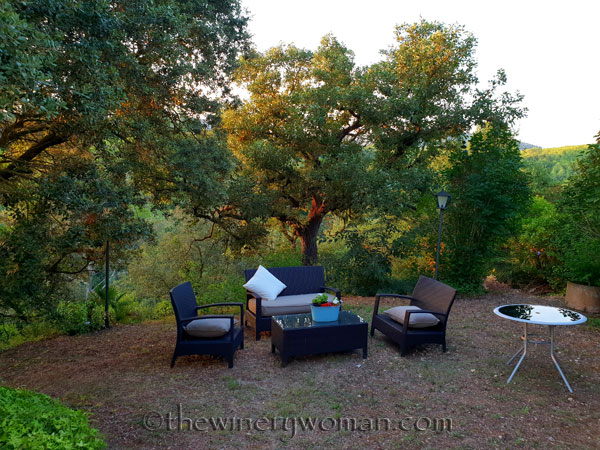 Dinner-and-a-movie3_8.10.18_TWW