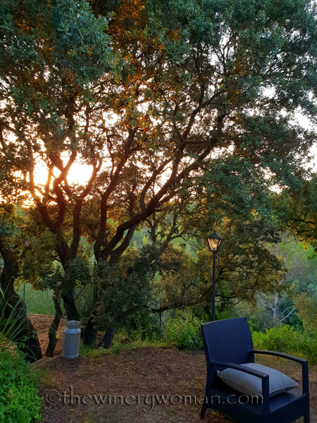 Dinner-and-a-movie4_8.10.18_TWW