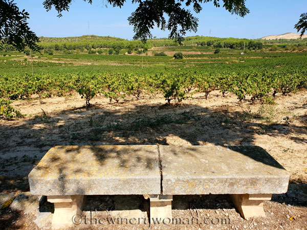 Grapes38_8.24.18_TWW