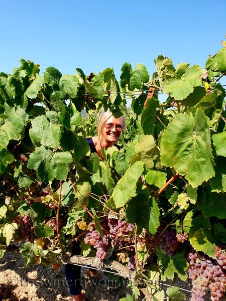 Hanna_Grapes_8.24.18_TWW