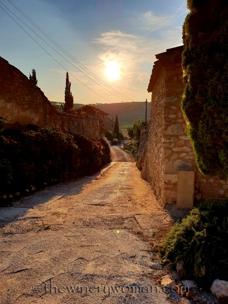 Sunlight-on-the-lane_8.3.18_TWW