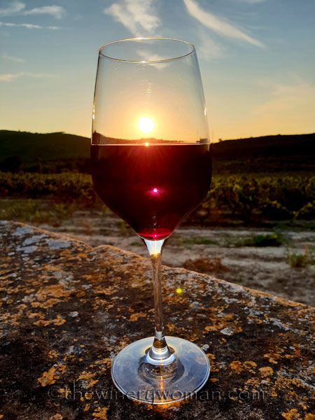 Sunlight-vines-and-wine4_8.21.18_TWW