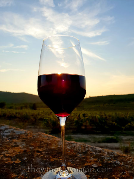 Sunlight-vines-and-wine5_8.21.18_TWW