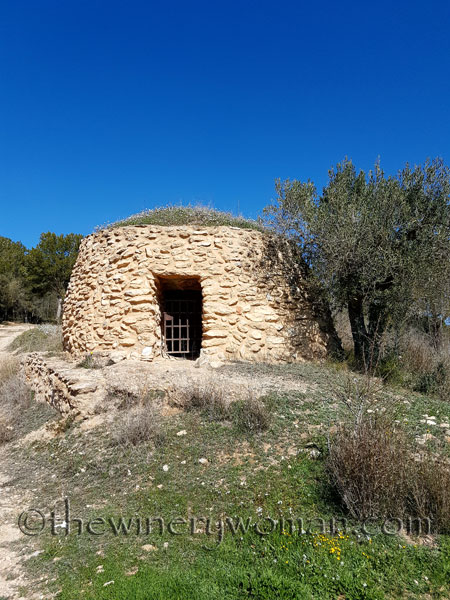 Vineyard13_2.25.18_TWW