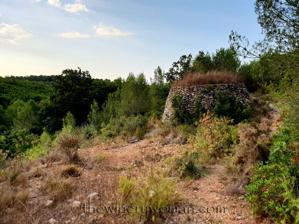 Vineyard5_8.5.18_TWW