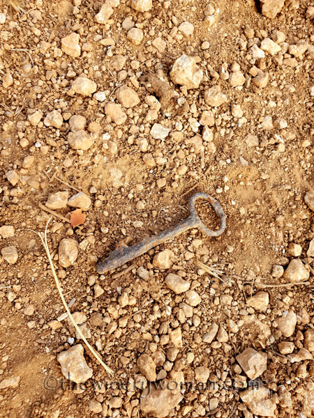 Vineyard6_8.5.18_TWW