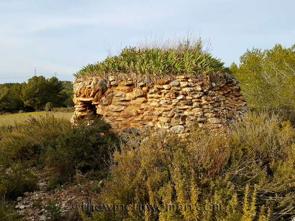 Vineyard_2.15.18_TWW