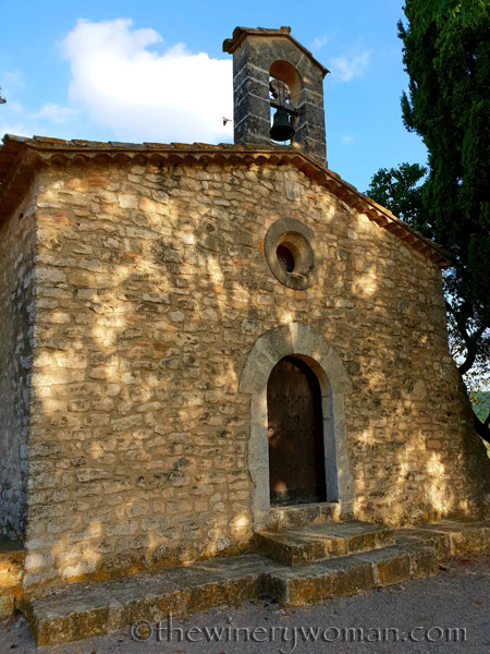 Autumn_Sunlight_Vineyard10_9.26.18_TWW