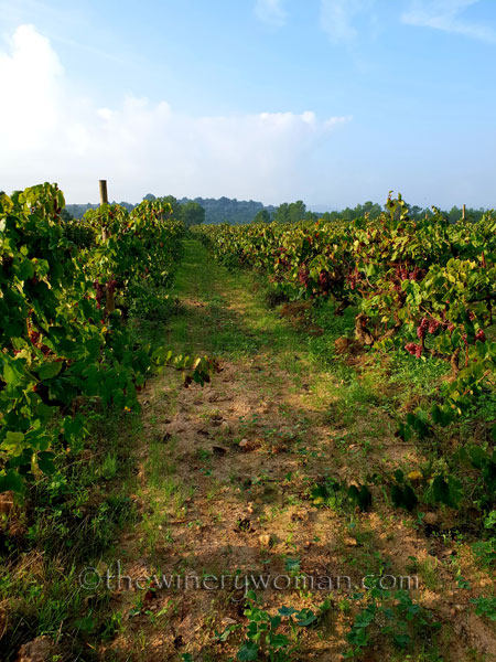 First-day-of-Autumn10_9.23.18_TWW