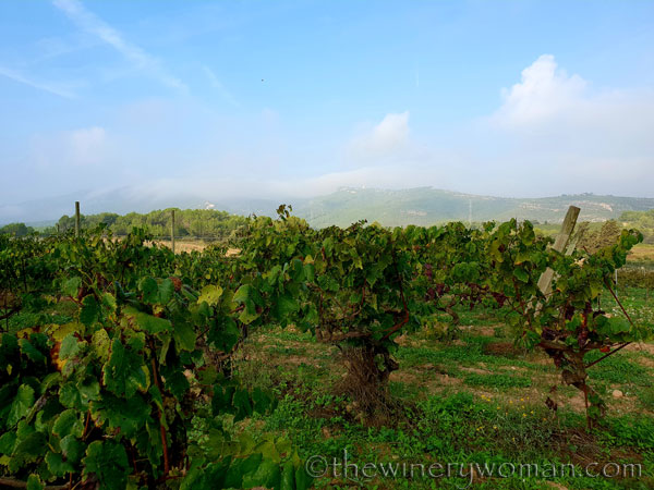 First-day-of-Autumn16_9.23.18_TWW