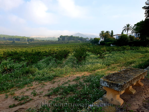 First-day-of-Autumn2_9.23.18_TWW