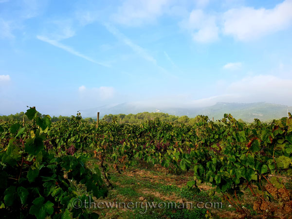 First-day-of-Autumn4_9.23.18_TWW