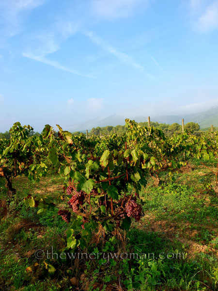 First-day-of-Autumn5_9.23.18_TWW