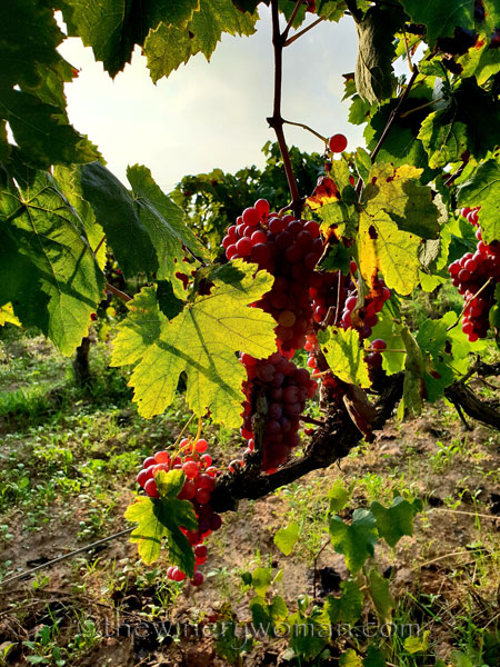 First-day-of-Autumn7_9.23.18_TWW