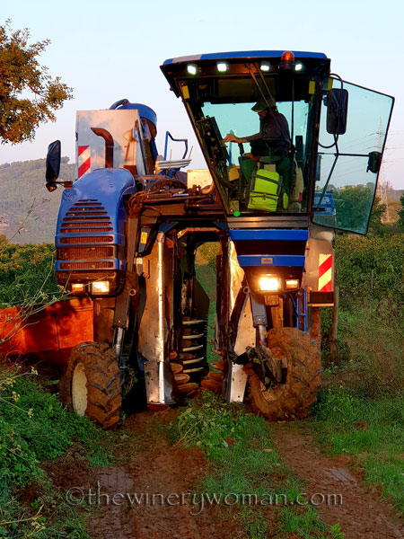 Harvest_by_machine28_9.20.18_TWW