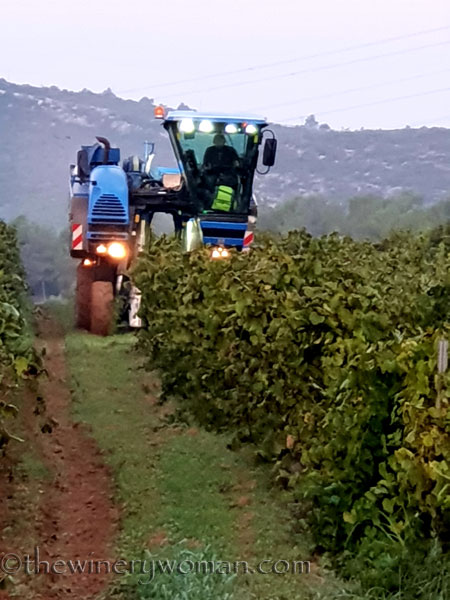 Harvest_by_machine3_9.20.18_TWW