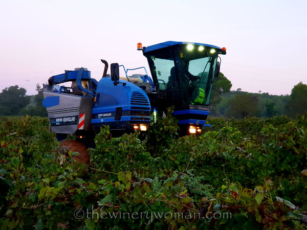 Harvest_by_machine5_9.20.18_TWW