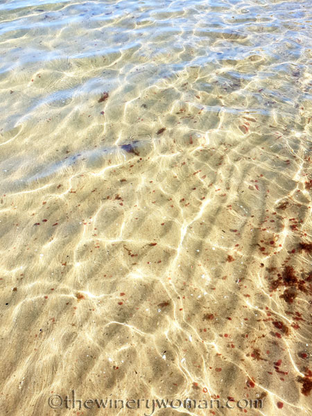 Sausalito_Beach_Sitges9_9.17.18_TWW