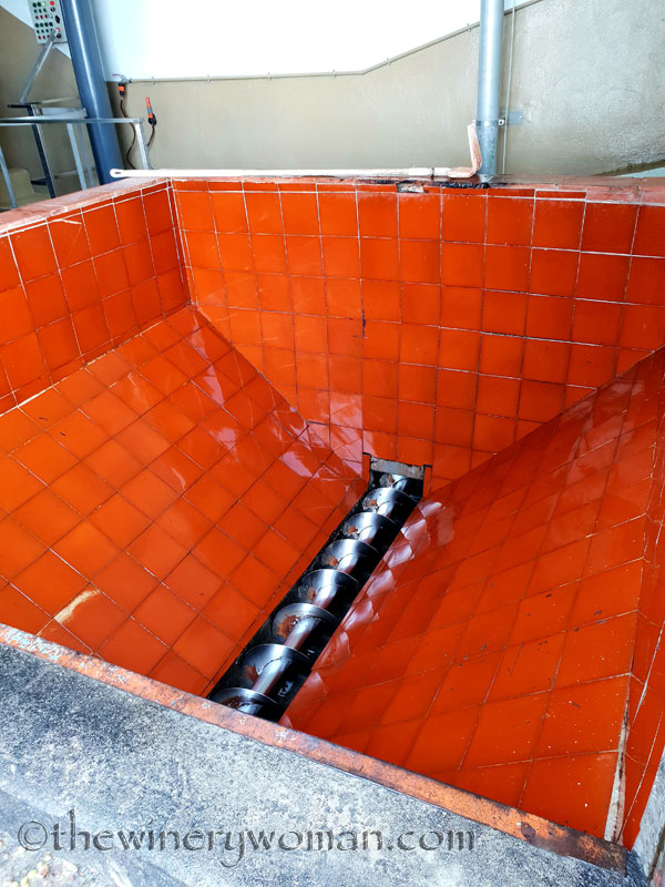 Vineyard_Harvest_9.7.18_TWW