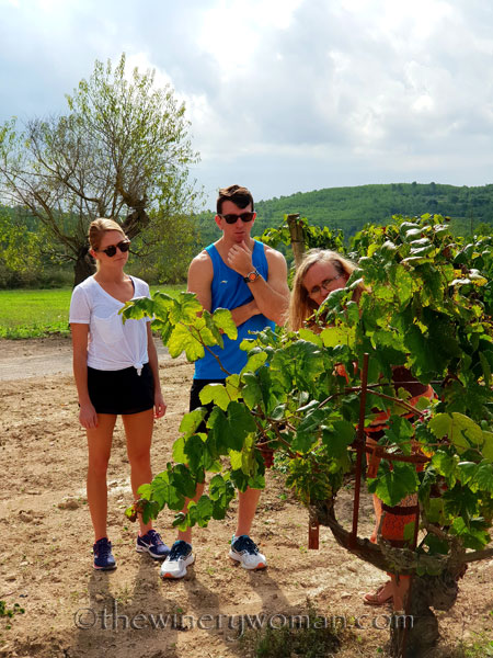 Winery_Tour5_9.12.18_TWW