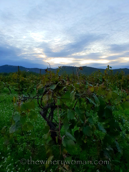 Autumn_Evening_Sky10_10.30.18_TWW