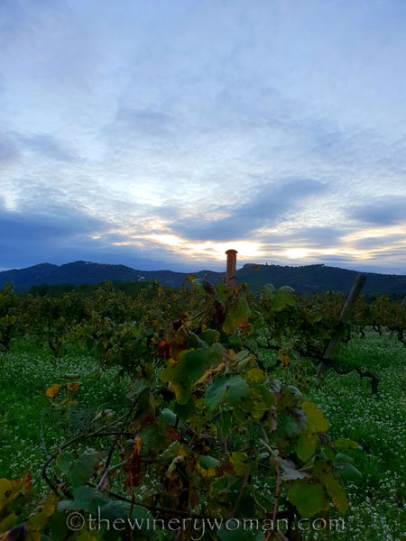 Autumn_Evening_Sky3_10.30.18_TWW