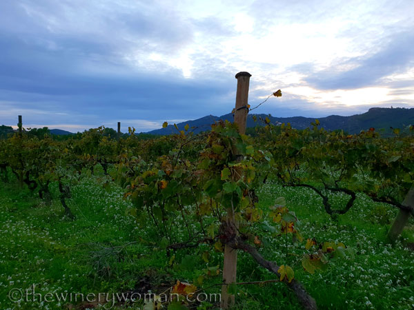 Autumn_Evening_Sky4_10.30.18_TWW