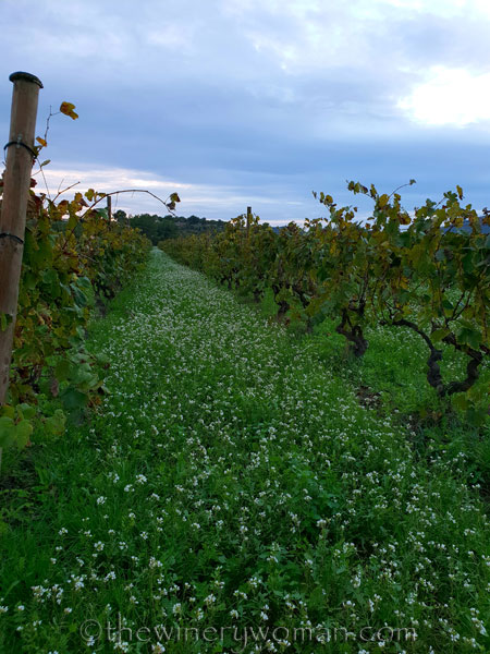 Autumn_Evening_Sky5_10.30.18_TWW